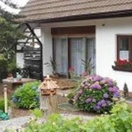Pension Haus Monika ザスバッハヴァルデン エクステリア 写真