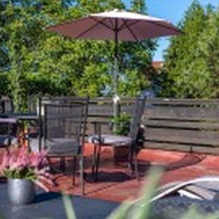 Pension Haus Monika ザスバッハヴァルデン エクステリア 写真